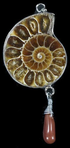 Fossil Ammonite Pendant - Million Years Old #38149